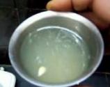 Pacific Lime Mold